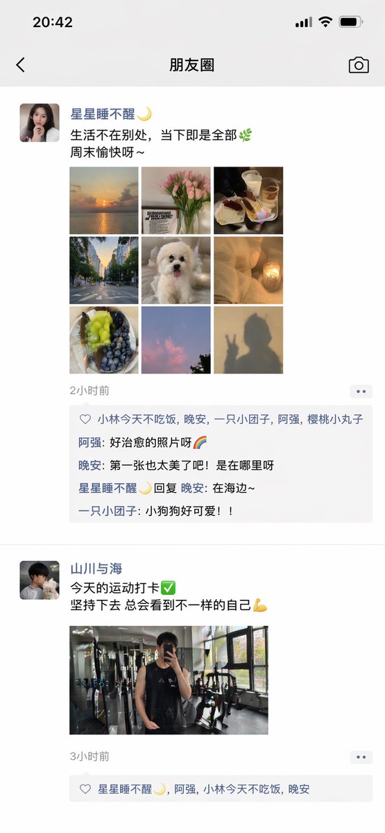 ChatGPT 应用展示微信朋友圈截图 - 2