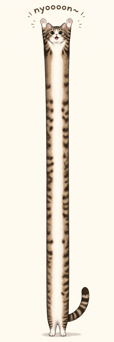 长条伸展虎斑猫 - 1